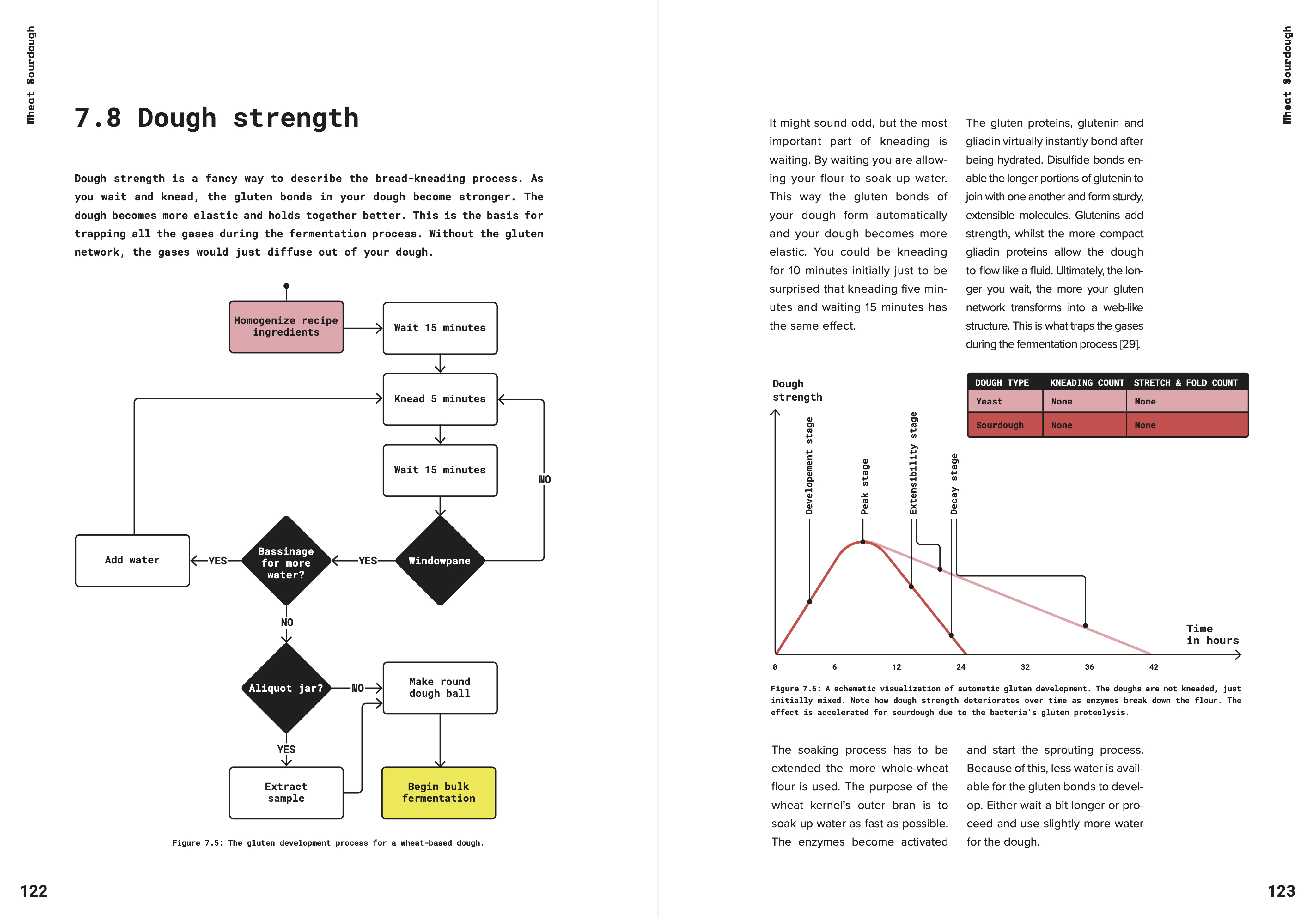 Dough strength techniques