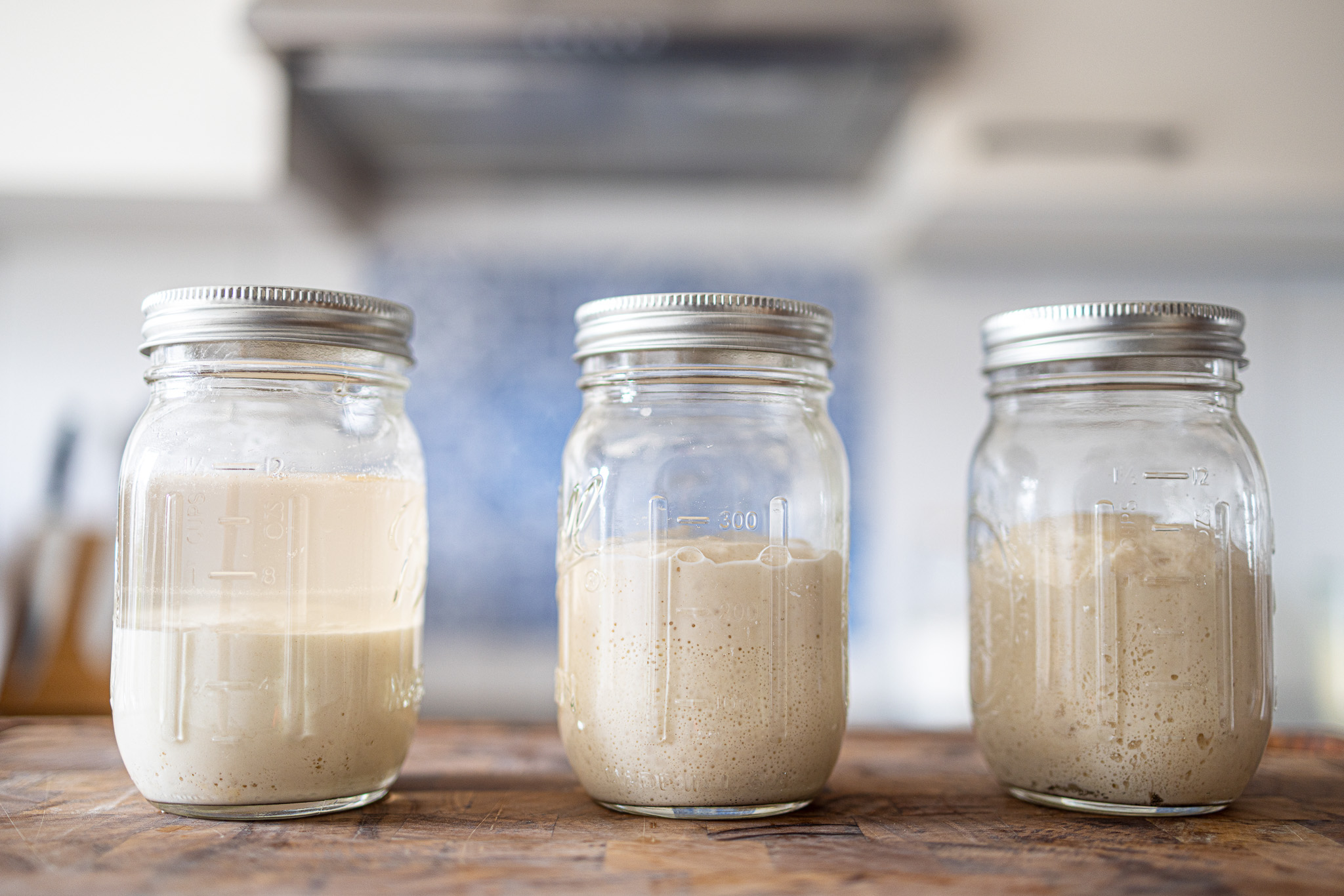 Three sourdough starters in mason jars at different stages