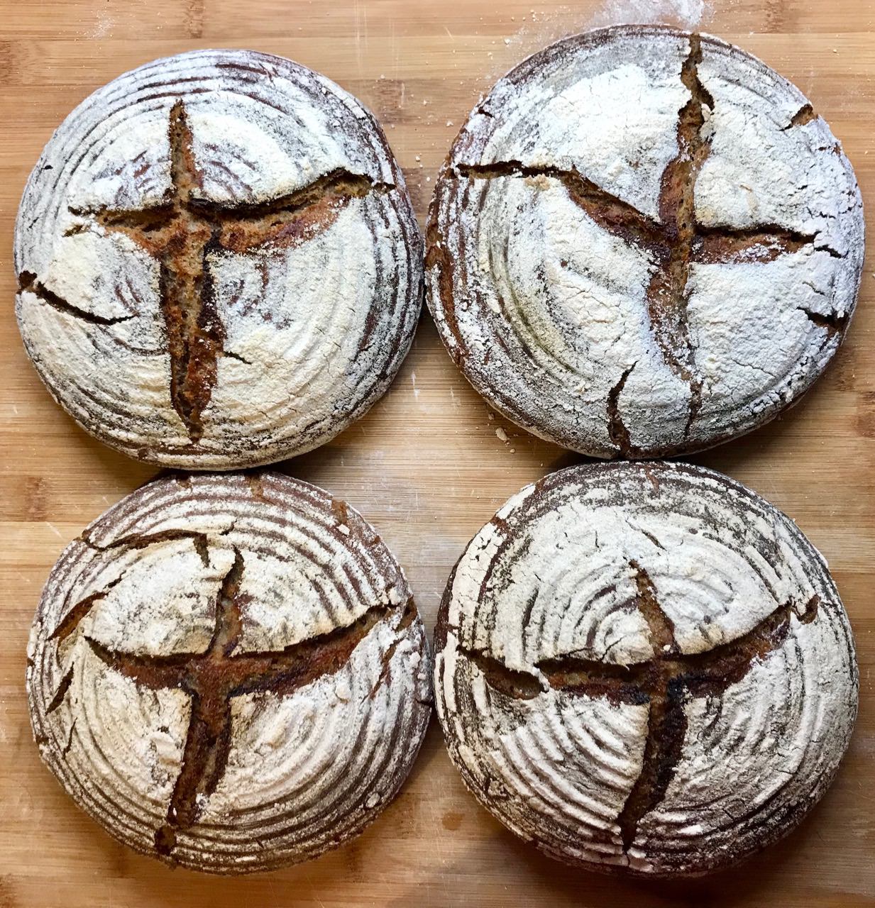 https://www.the-bread-code.io/assets/images/recipes/2019-10-15-make-sourdough/full-grain-rye-vs-100-rye.jpg