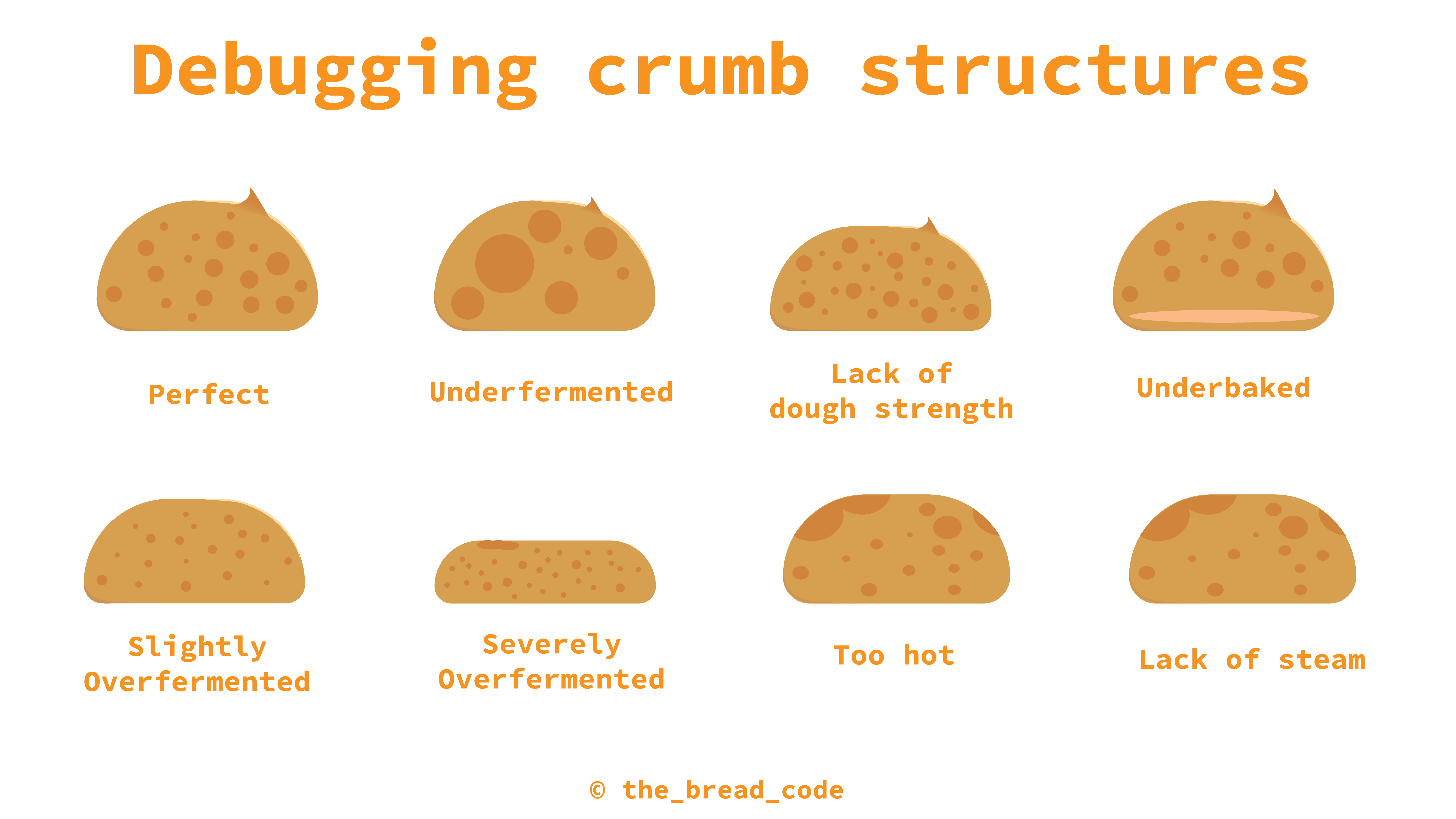Different sourdough crumbs and their common mistakes