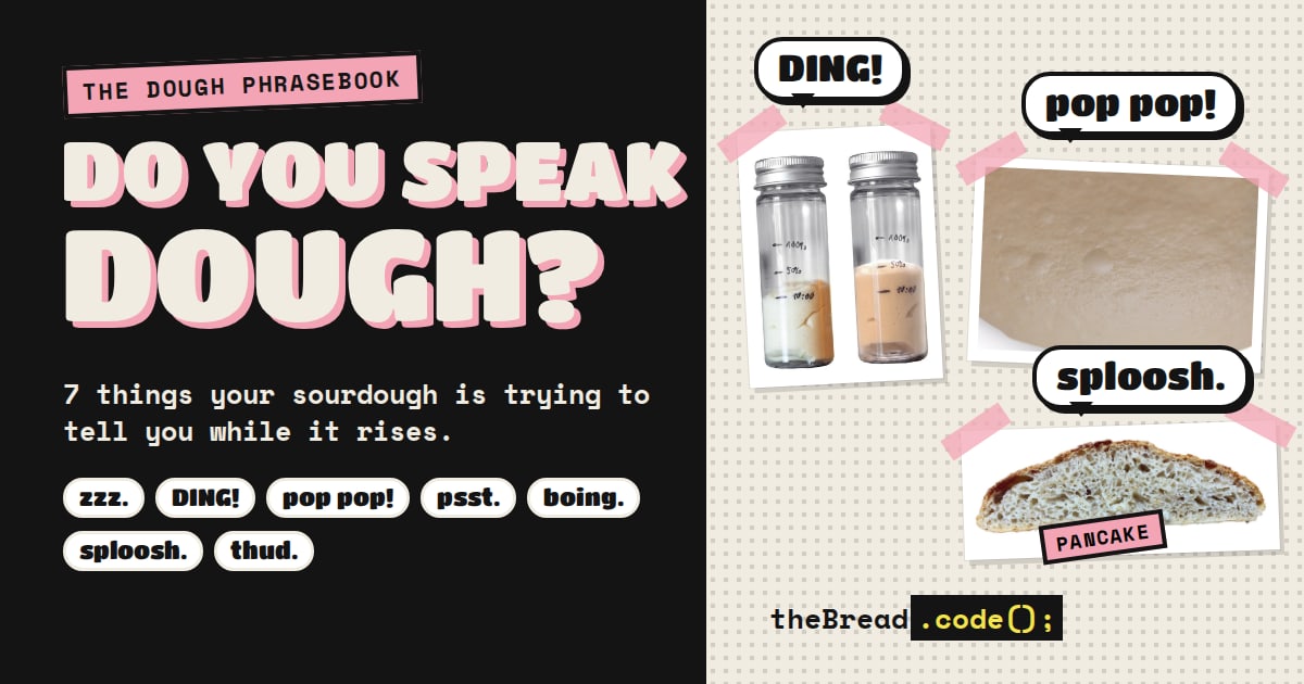 Do You Speak Dough? 7 Things Your Sourdough Is Telling You During Bulk Fermentation