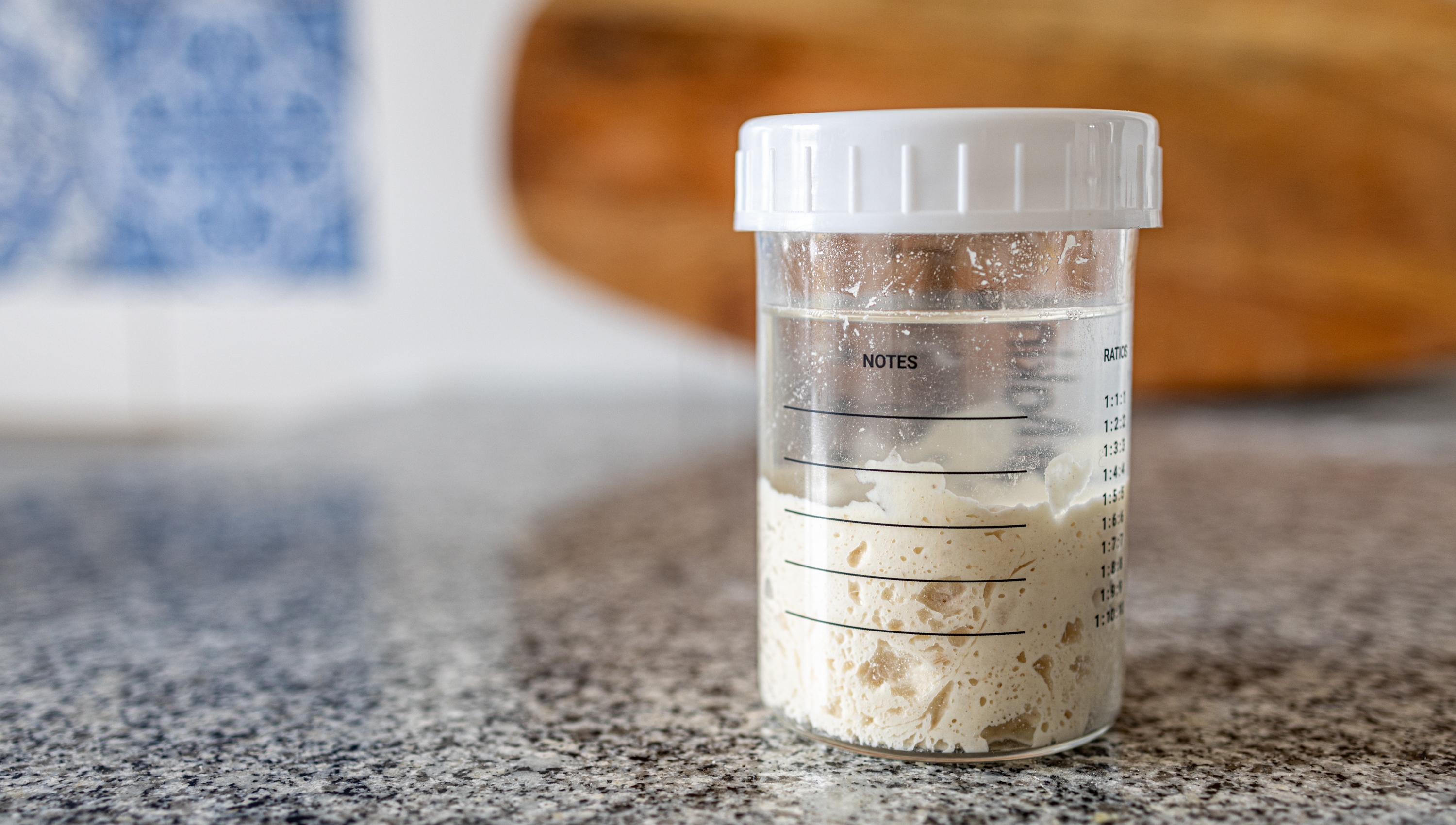 A sourdough starter covered with liquid